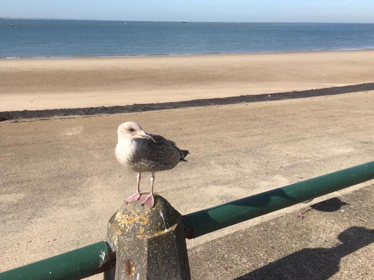 Appartamento Ons Zeeuws Huus Vlissingen Esterno foto